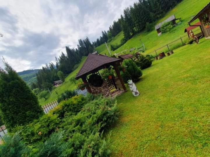 Pensiunea Cla Albac Exterior photo