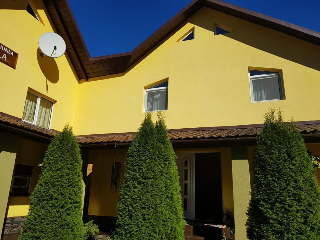 Pensiunea Cla Albac Exterior photo